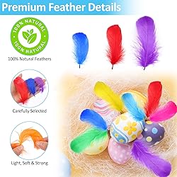 600 Pcs Feathers for Crafting, 3-5 inch Craft