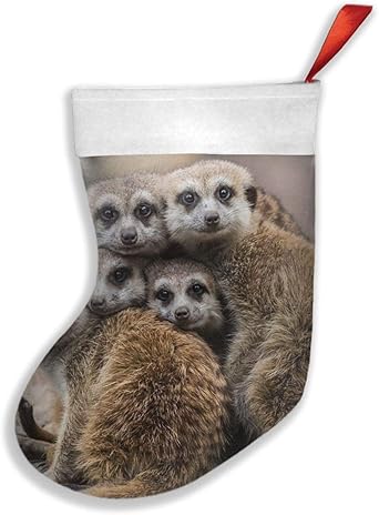 Erdmännchen Natur Hintergrund Weihnachtsstrümpfe Weihnachten Kamin