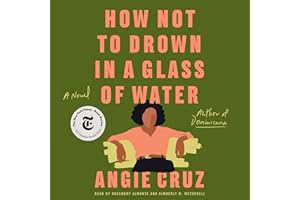 How Not to Drown in a Glass of Water: A Novel