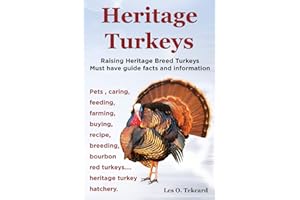Heritage Turkeys. Raising Heritage Breed Turkeys Must Have Guide Facts and Information Pets, Caring, Feeding, Farming, Buying, Recipe, Breeding, Bourb