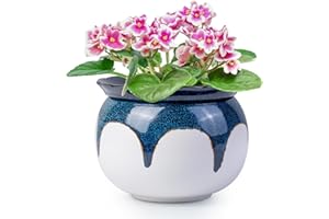 LITUDISO African Violet Pots, 6 Inch Self Watering Pots for Indoor Plants, Easy Plant Self Watering Planter, Ceramic Plant Pot with Absorbent Inner Pot for Flowers - Gradient Blue (No Plants)