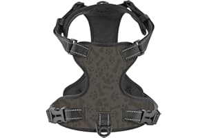 No Pull Dog Harness, Dog Bone Paw Walking Pet Puppy Harness with Leash, Adjustable Reflective Vest Easy Control for Small Med