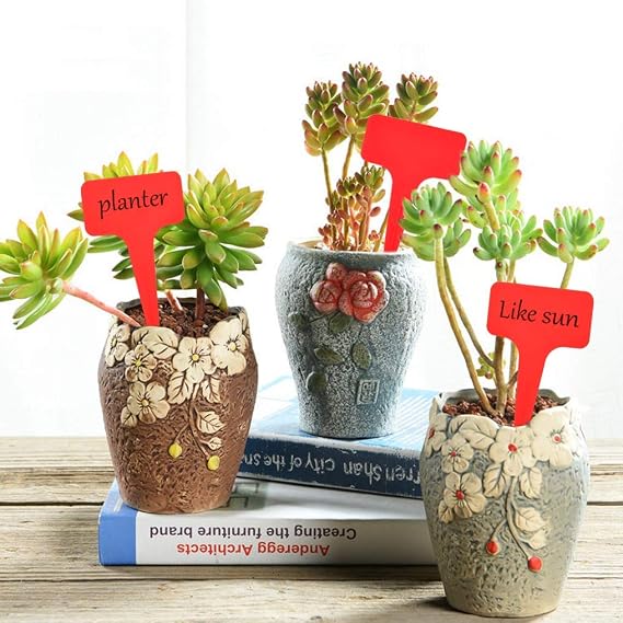FABSELLER Etiquetas de plástico para Plantas, de la Marca, 6 x 10 ...