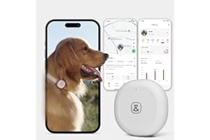 Molly&Cody GPS + Bluetooth Pet Tracker for Cats & Dogs – Real‑Time Tracking, Virtual Fence, IP67 Waterproof, Up to 60‑Day Battery, Health Monitoring, iOS/Android – 3‑Month Subscription Included(White)