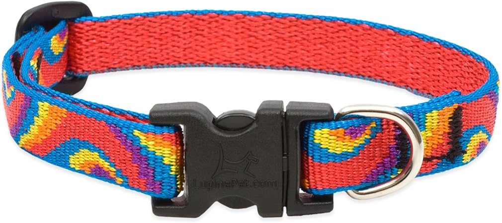 lupine dog collars amazon