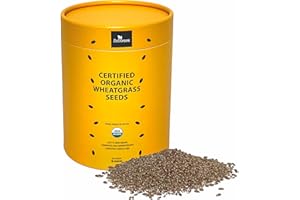 ZESTIGREENS Certified Organic Wheatgrass Seeds | Cat Grass Seeds | Seeds Come in Food Grade Colorful Container with Lid for Easy Scooping & Keeping Fresher | Non GMO & harvested in The US (1lb / 16 Ounces)