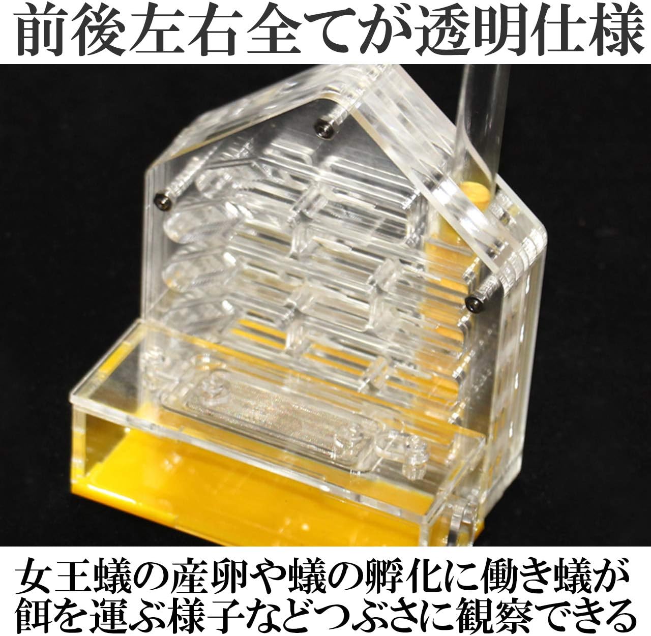 Amazon Co Jp Hamilo アリ飼育キット 蟻観察セット アクリルケース 自由研究 理科 通気 繁殖 巣作り おもちゃ