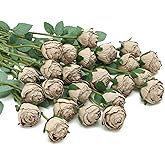 DuHouse 24pcs Artificial Vintage Roses Fake Mini Silk Rose Flowers with Long Stem for DIY Bouquets Wedding Centerpiece Party Home Kitchen Decoration(Coffee)