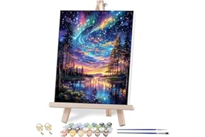 VIGEGU Aurora Paint by Numbers Kit for Adults with Framed,Starry Sky Landscape Paint by Number DIY Adult Paint by Number Kits Acrylic Oil Painting for Wall Decor 10x12in