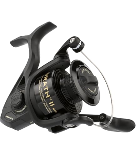Daiwa LT3000S-CXH Spinning Reel 23 Regza (Lexa) : Amazon.ca