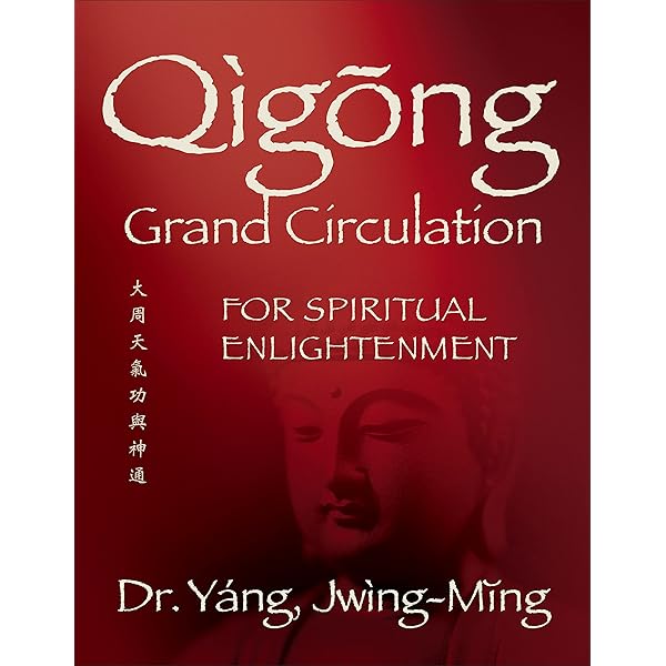 Chinese Energetic Medicine　Volume 3~5　新品 2dcbeb2-1cb8-41e2-fd17-