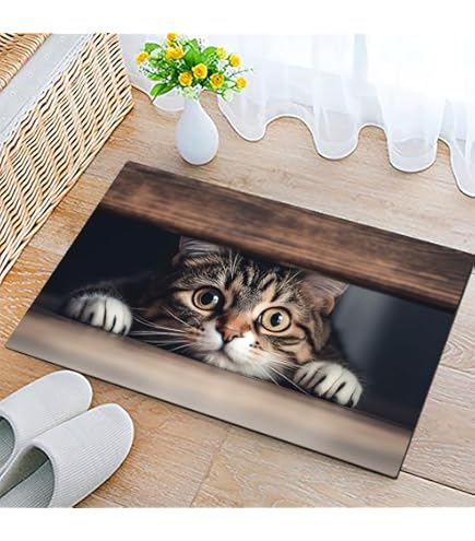 Amazon.com: PuseTaer Front Door Mats There's Like A Lot of Cats in
