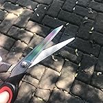 Review Image by Bananas Really