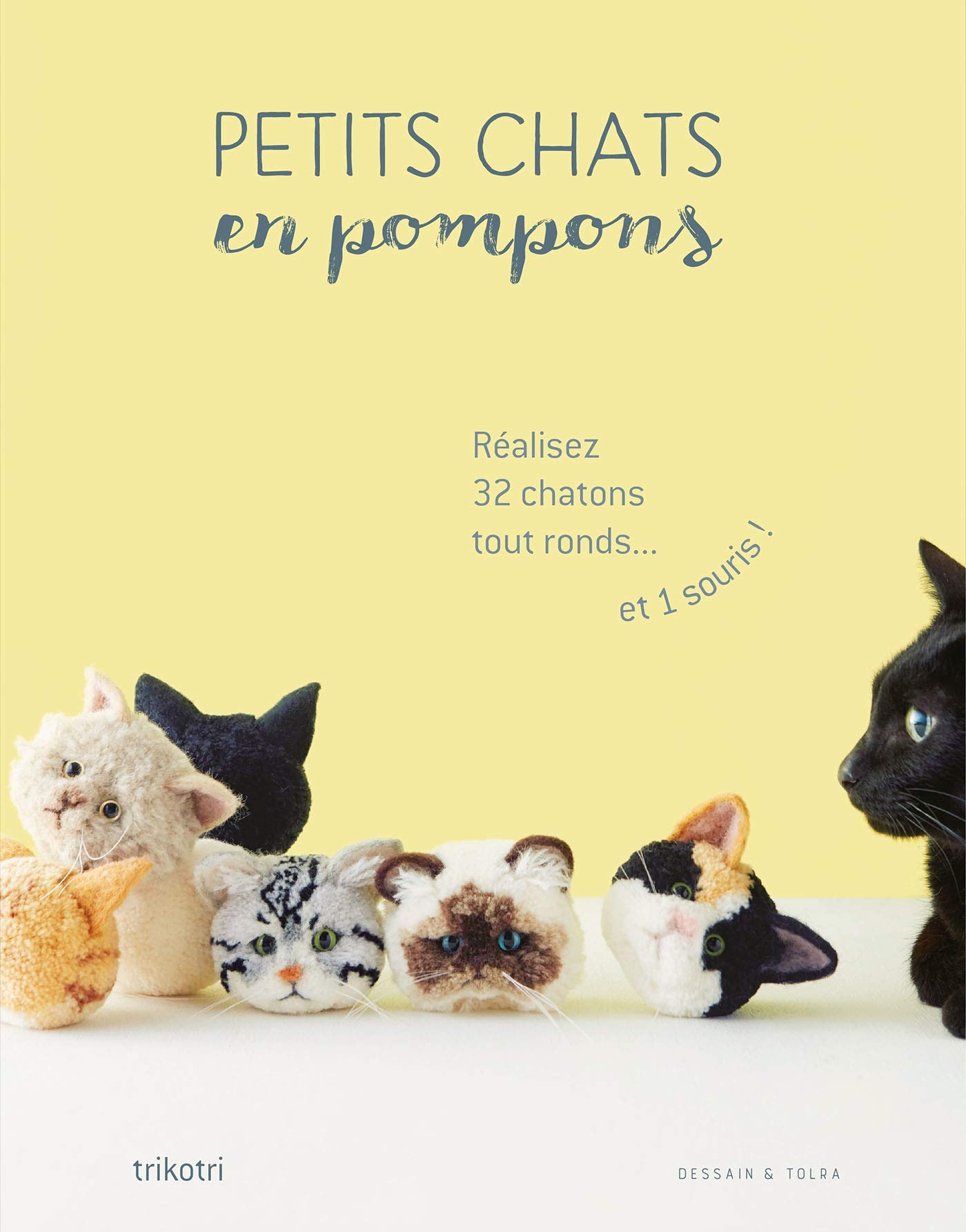 Petits Chats En Pompons Amazon Fr Trikotri Livres