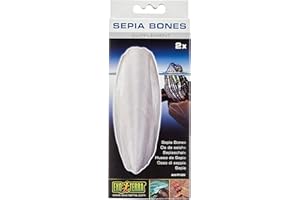 Exo Terra Sepia Bones for Turtles