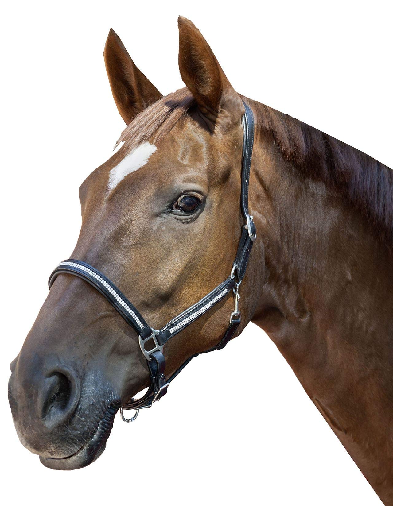 HKM Halter Black Pony