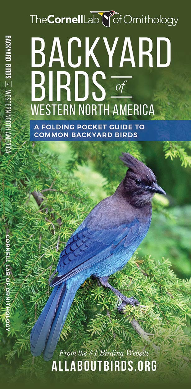 Backyard Birds Of Western North America A Folding Pocket Guide To