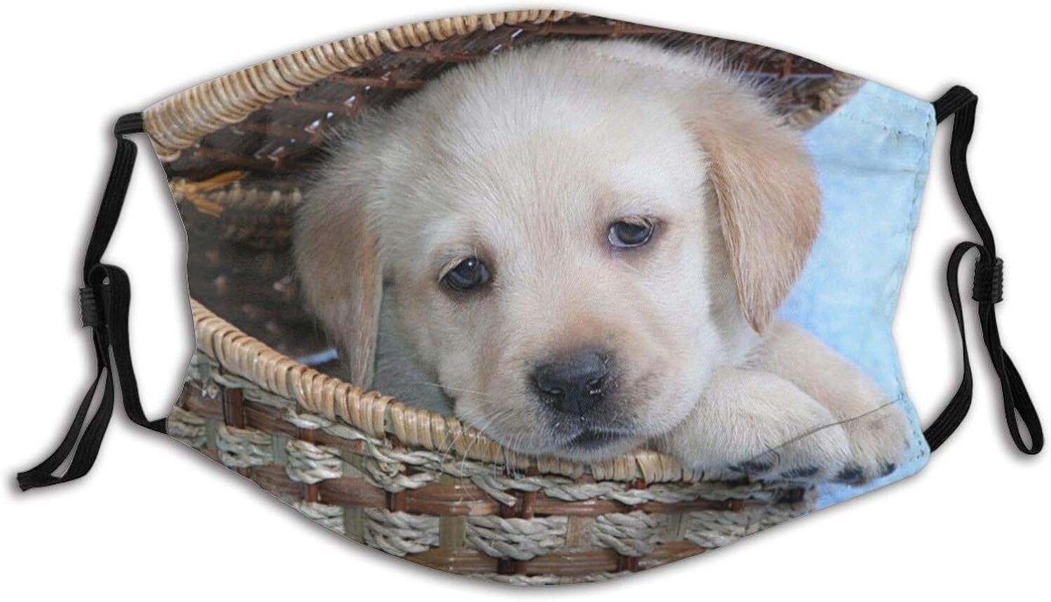 Adult dust mask with Filter Puppy Labrador Basket Washable