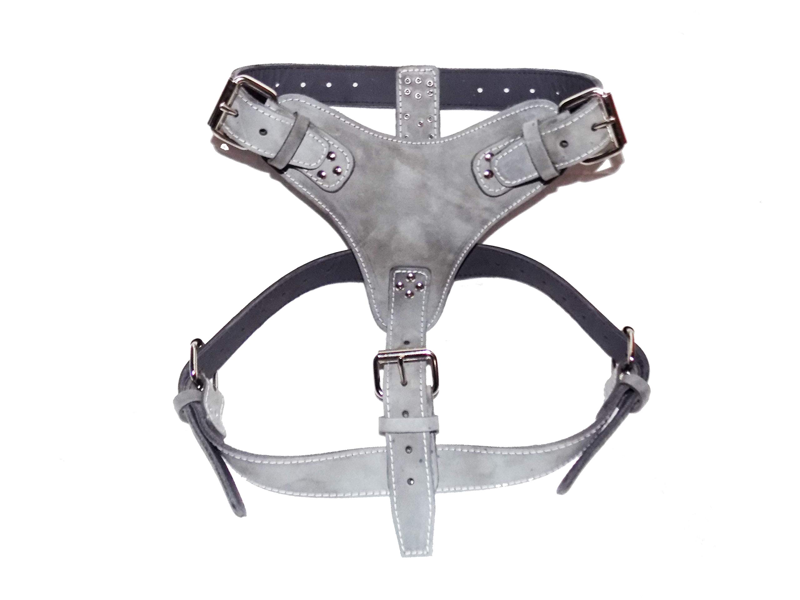 Extra Large Heavy Duty Plain Grey Leather Dog Harness Perfectly fits American Bulldog, Fully Grown Staffordshire, Rottweiler, Cane Corso and more