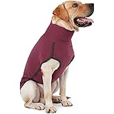 Dog Sweater Pullover Cold Weather Vest for Dogs Dog Sweatshirt & Jacket for Indoor and Outdoor Use (Large, Wine red)