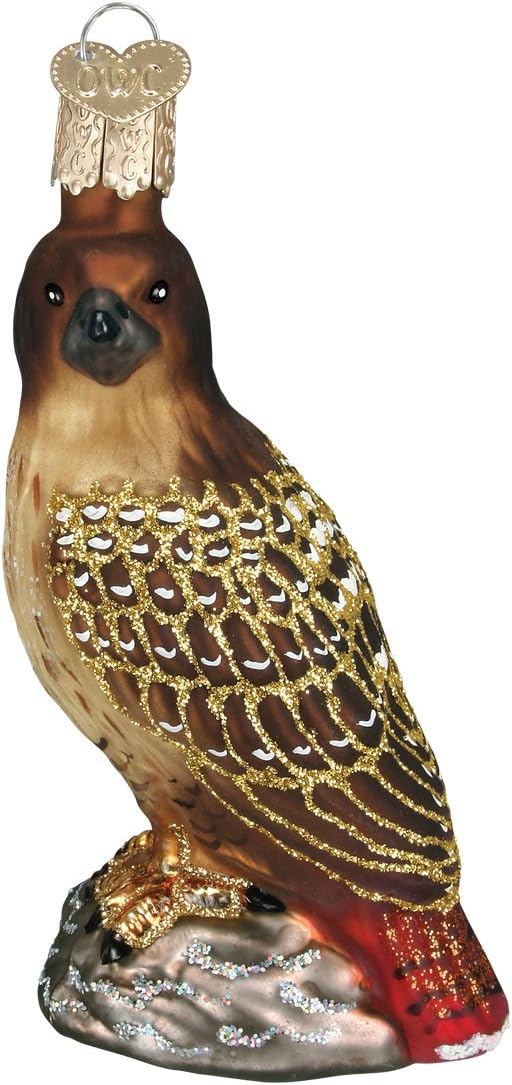 Ornaments - Old World Christmas Ornaments: Bird Watcher Collection Glass Blown Ornaments for Christmas Tree, Red-Tailed Hawk