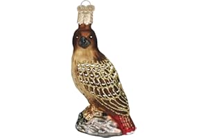 Old World Christmas Ornaments: Bird Watcher Collection Glass Blown Ornaments for Christmas Tree, Red-Tailed Hawk, 3¾"