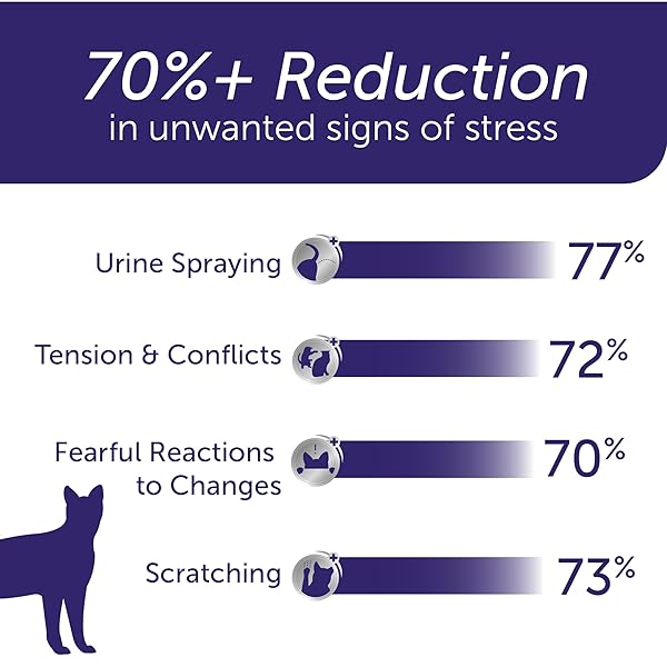 FELIWAY® OPTIMUM 30 DAY CAT CALMING PLUG IN PHEROMONE DIFFUSER STARTER KIT, 48ML – HELPS REDUCE COMMON SIGNS OF STRESS IN CATS & KITTENS, NO. 1 VET RECOMMENDED BRAND, ENHANCED CALMING
