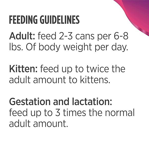 NULO BEEF & RAINBOW TROUT GRAIN-FREE SHREDDED WET CANNED CAT FOOD, 3 OUNCE (PACK OF 24)