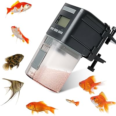 Best Automatic Fish Feeders Make The Aquatic Life Gorgeous The
