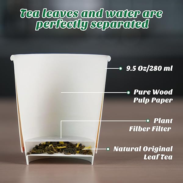 EASYBREW CUP TEA WITHIN PAPER CUP, 10 PCS DISPOSABLE CUPS WITH TEA IN THE BOTTOM, FLAVORED INSTANT TEA, DELICIOUS ORGANIC GREEN TEA PERFECT FOR HOME, OUTDOOR, TRAVEL, UNIQUE TEA GIFT(MINT GREEN TEA)