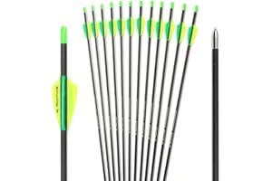 12pc ID 4.2mm .165" 22-32 Inch Carbon Arrows Spine 250 300 350 400 500 600 700 800 900 1000 Target Practice & Hunting Arrow R
