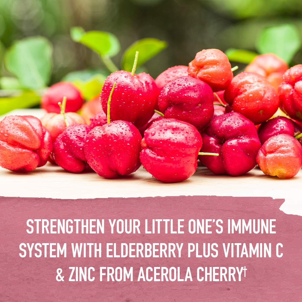 Garden of Life Organics Elderberry & Zinc for Children's Immune Support, Kids Cough & Mucus Immune Syrup with Ivy Leaf, Vitamin C and Echinacea for Children, Alcohol-Free, No Added Sugars, 3.92 fl oz