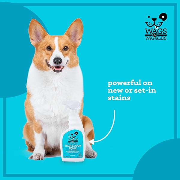 WAGS & WIGGLES STAIN & ODOR REMOVER SPRAY – PET CARPET CLEANER FOR STAINS, OXYGEN-POWERED CLEANER FOR DOG & CAT URINE, DEODORIZER WITH CLEAN SCENT, PET ODOR ELIMINATOR FOR HOME, 32 FL OZ