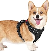 rabbitgoo Dog Harness Small Adjustable No Pull Reflective Front Back Clips