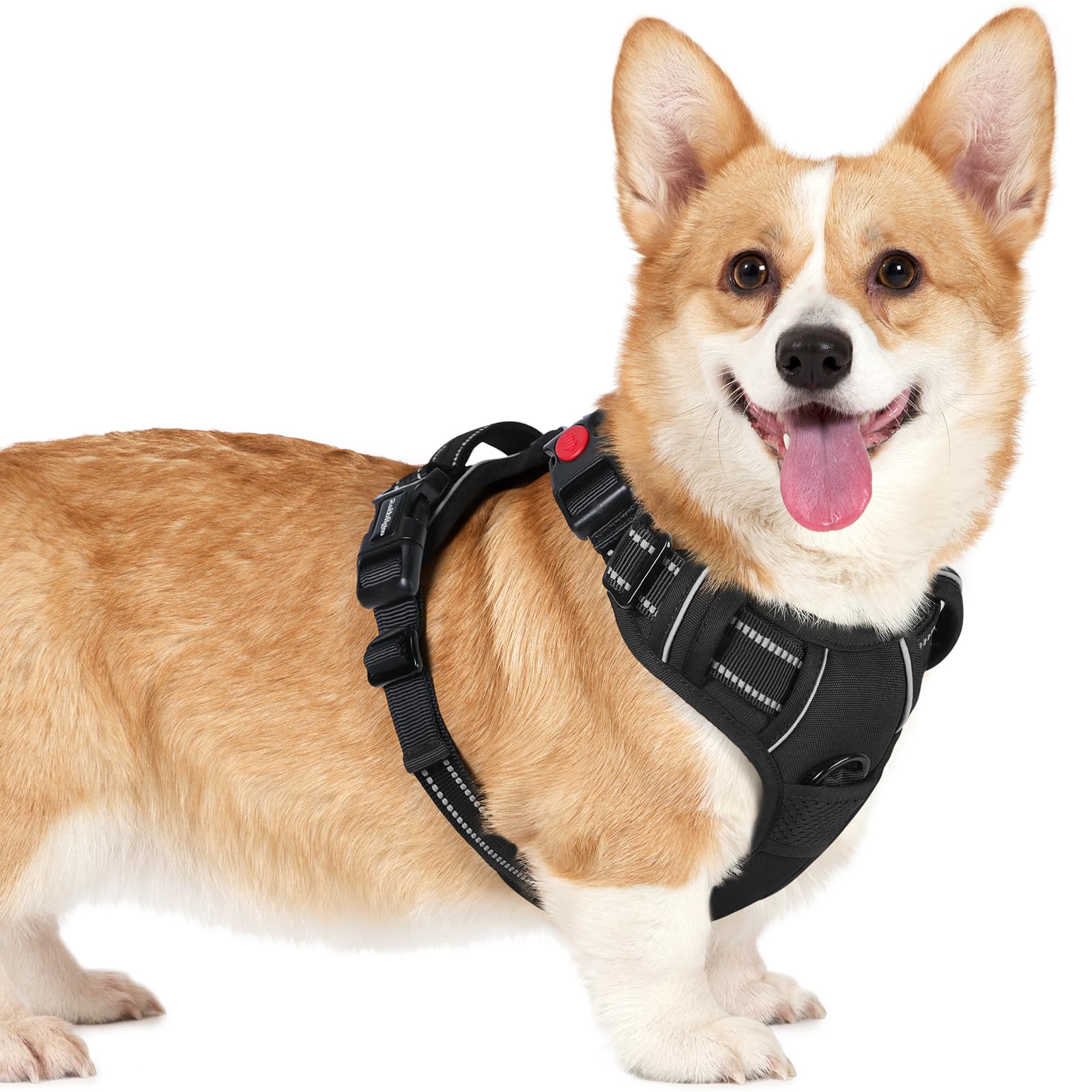 rabbitgoo Dog Harness Small Dog with Neck Release Buckle, Adjustable Soft Padded Puppy Pet Vest with Easy Control Handle, Reflective No Pull Dog Harness with Front Back Clips, Black, S — image 1