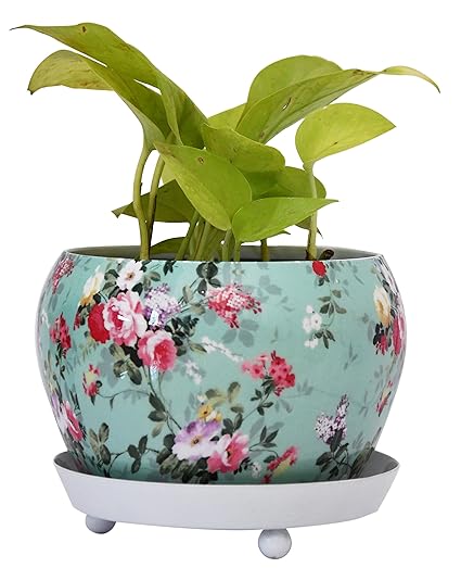 Decoright Aqua planters for Living Room - Planter pots for Home Indoor