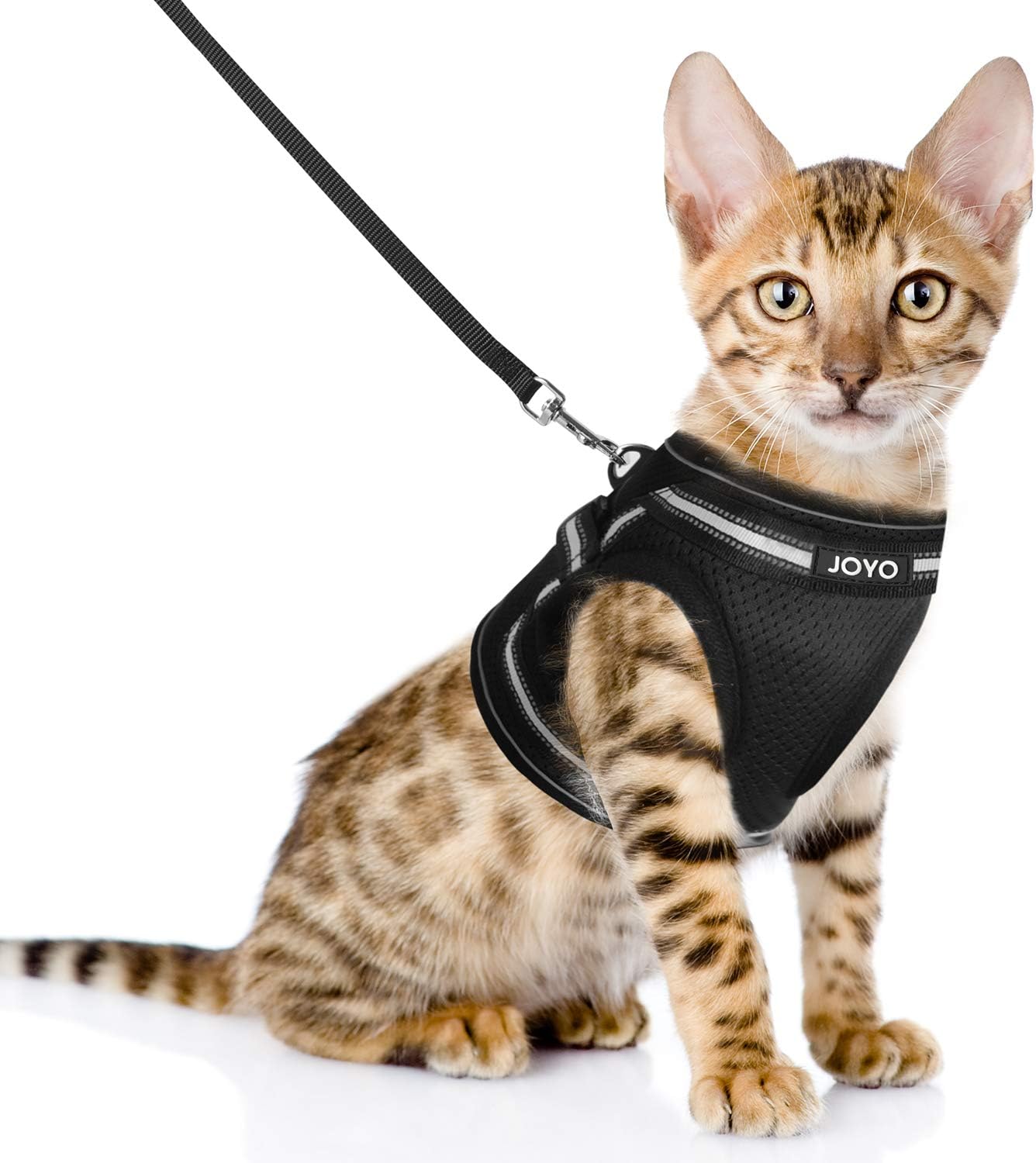 Cat vest harness and walking leash Clearance
