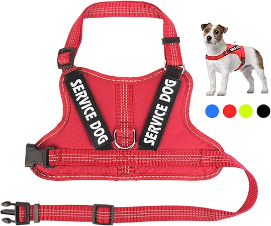 no pull service dog vest