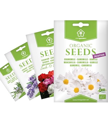 8-Quart Digital Air Fryer