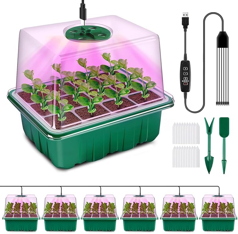 YAUNGEL Seed Trays with Grow Light 6 Pack Propagator with Timer