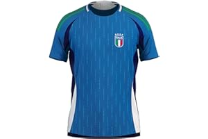 Winning Beast Italy 2024-2025 Soccer Jersey Away and Home Colors