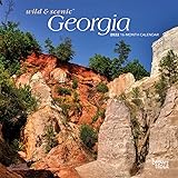 Georgia State Calendar 2022: Official Us State Georgia Calendar 2022, 16 Month Calendar 2022: 2022, Georgia Calendar: 9798526102056: Amazon.com: Books
