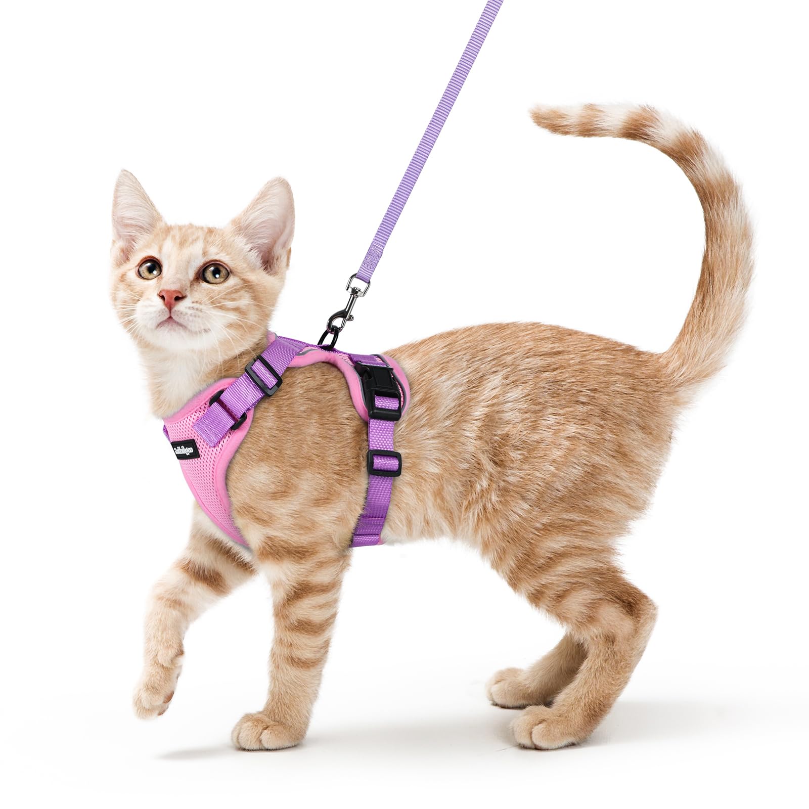 Photo 1 of rabbitgoo Cat Harness and Leash for Walking, Escape Proof Soft Adjustable Vest Harnesses for Cats, Easy Control Breathable Reflective Strips Jacket, Pink & Purple, XS