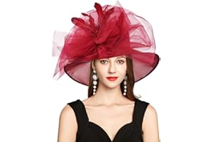 YIDINGCO 2026 Derby Hat, Classy Sun Hat for Women Ladies, Organza Feather Kentucky Fascinator for Tea Party Church UV Protection