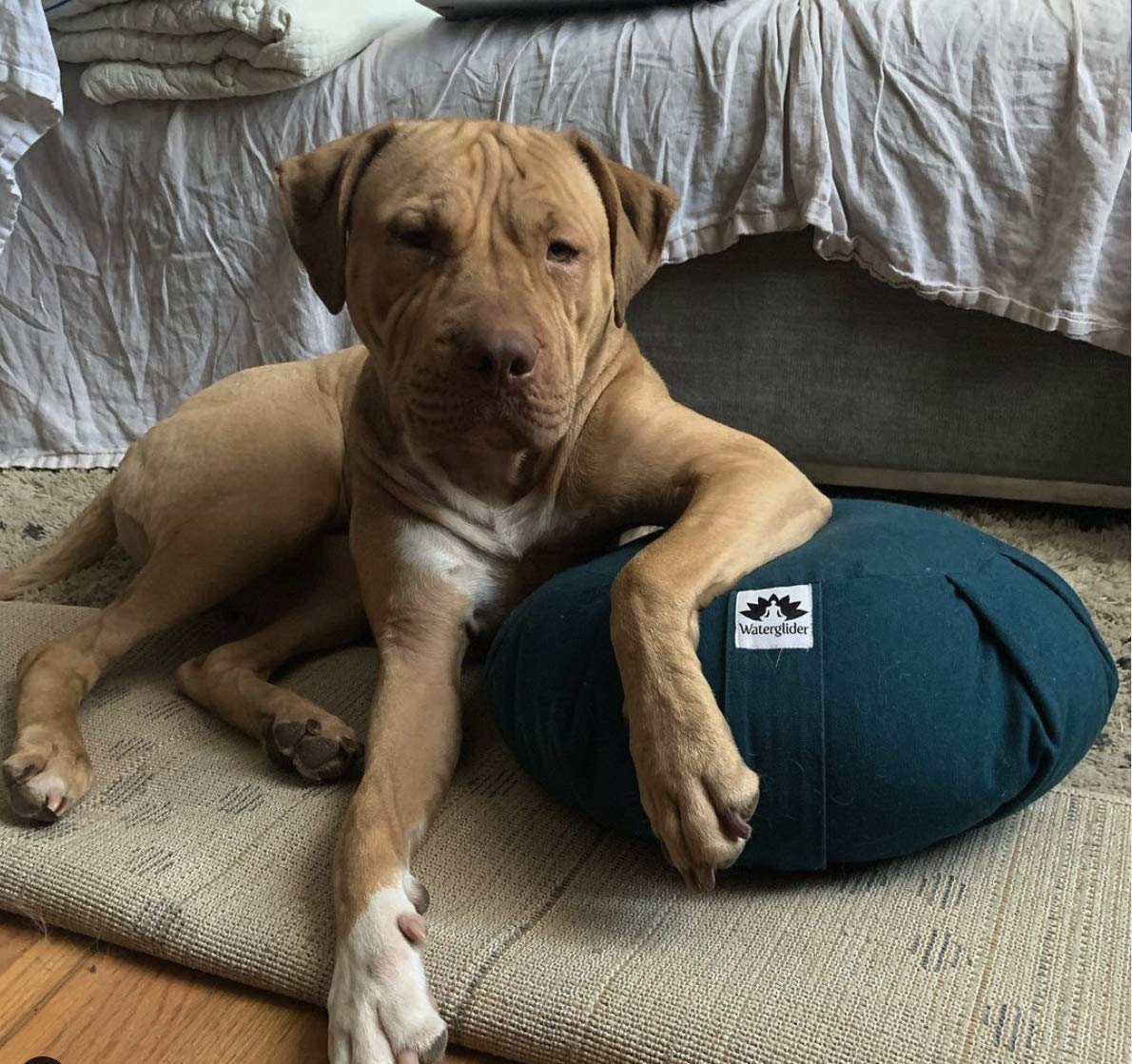 Waterglider International Meditation Cushion (Twilight Blue) Round, Buckwheat Husk Filled, Floor Pillow or Cushions, Yoga Seat, Zafu, Made in the USA - Image 9