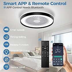 Modern Ceiling Fans with Lights - 19 inch Low