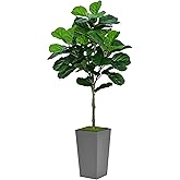 ASTIDY Fiddle Leaf Fig Tree Artificial 5FT - Faux Fiddle Leaf Fig Tree with Gray Tall Planter - Fake Ficus Lyrata Floor Plant Potted - Artificial Fig Tree for Home Office Living Room Decor Indoor