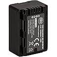 BM Premium VW-VBK180 Battery for Panasonic HC-V10 HC-V100 HC-V500 HC-V600M HC-V700 HDC-HS40 HS40K HS60 HS60K HS80 HS80K SDR-T55 T70 T71 T76 Camcorders
