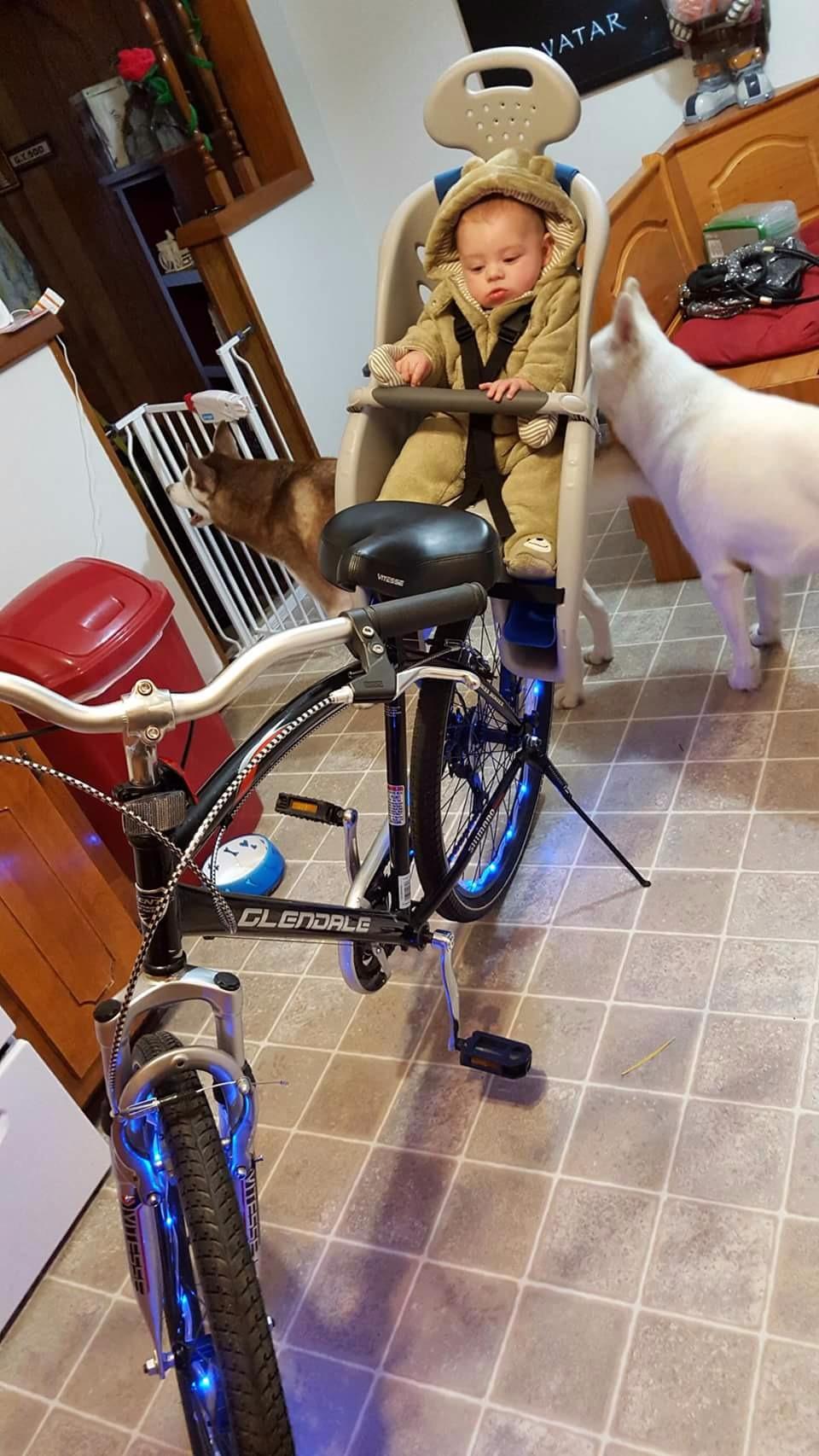 20/mo Finance Schwinn Deluxe Bicycle Mounted Child Carrier/Bike Seat For Children, Toddlers