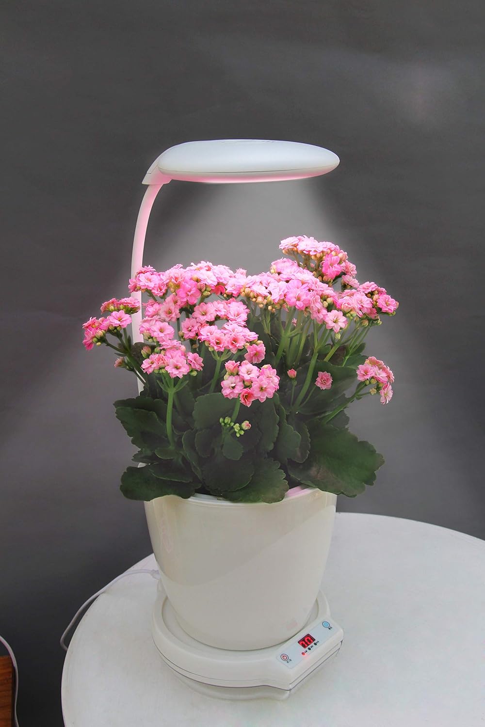 Amazon Com Smart Self Watering Flower Pot With Led Lamp Indoor Planter Herb Garden Fresh Flowers And Veggies Growing Kit Premium Gift Idea White Kitchen Dining